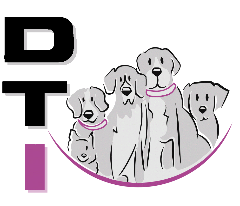 Logo von DTI