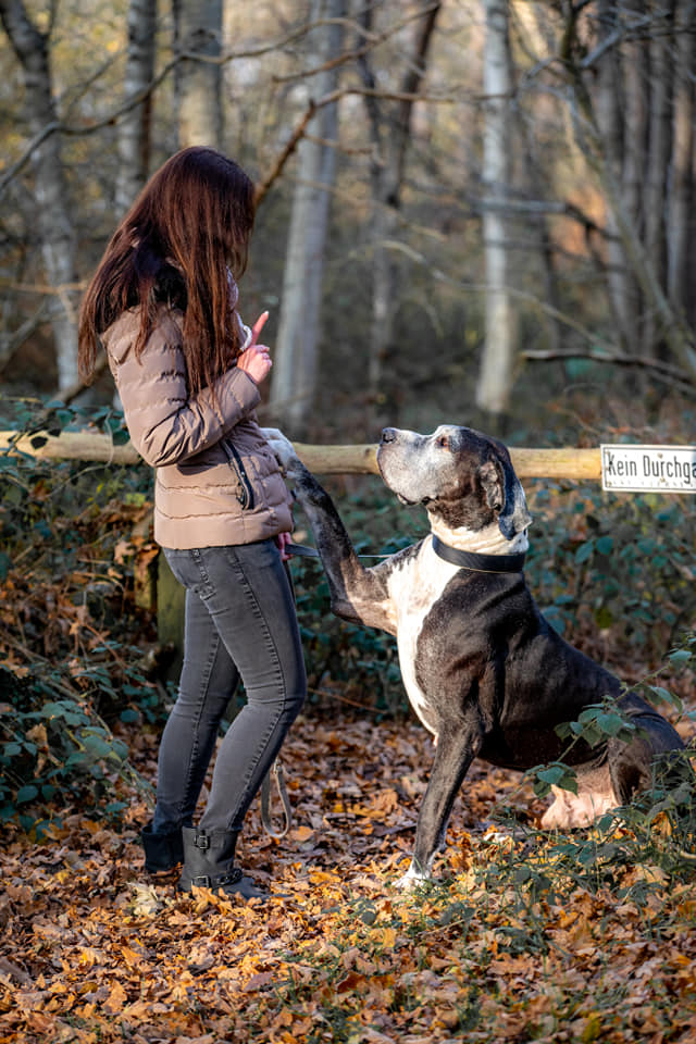 Therapeutin mit Hund