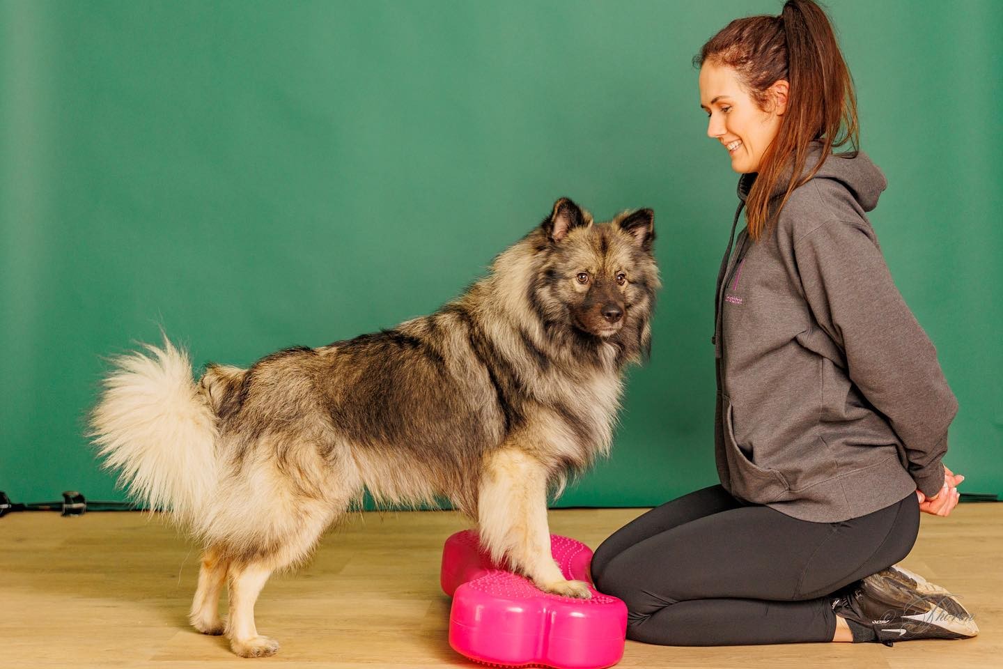 Therapeutin beim Training mit einem Hund